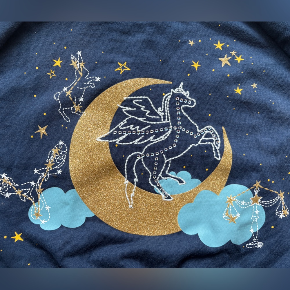 Whimsy Magical Nightgown Pegasus Moon Stars Constellations Cloud Sparkle